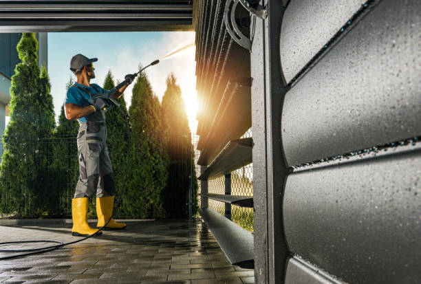 Best Building Exterior Washing  in Arthur, IL