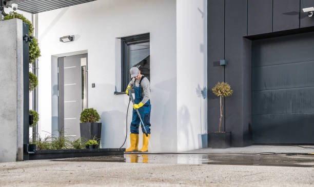 Best Fleet Vehicle Washing  in Arthur, IL